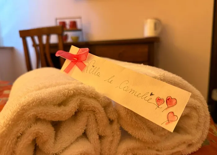 Le Camelie 3* Сиена